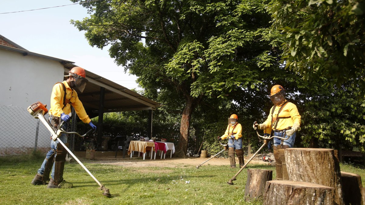 Trabajadores de la empresa Oportunidades Disponibles (Opordis) podan césped durante su jornada laboral, el 19 de marzo de 2022, en  El Bagre, Antioquia (Colombia). EFE/.