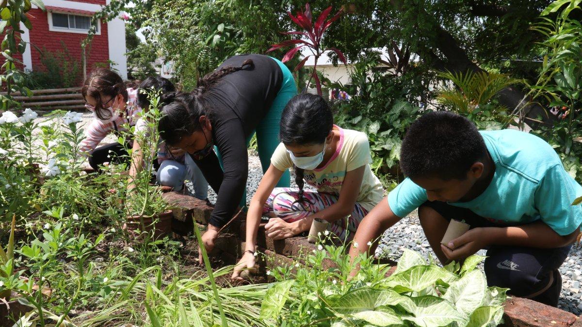 Práctica. Construir huertos es una de las actividades favoritas.