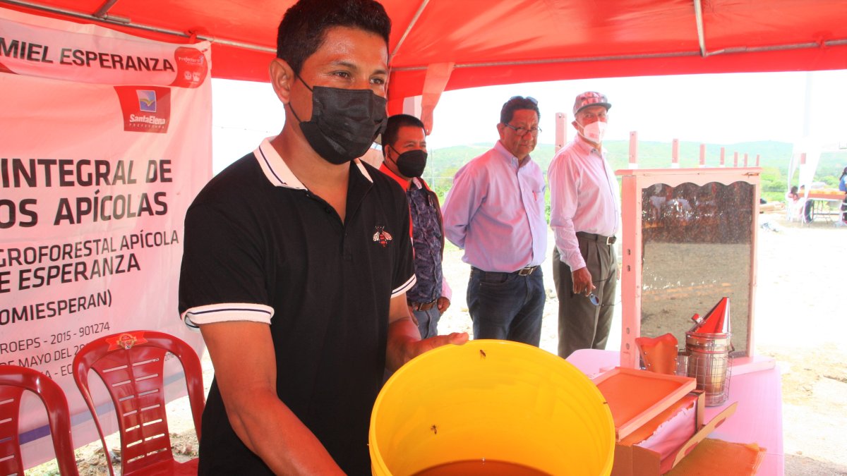 Los comuneros. Explicaron el proceso de cómo extraen y envasan la miel.