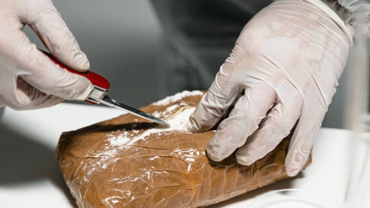 Referencial. Las fuerzas del orden señalaron que hallaron 2.461 paquetes rectangulares con el alcaloide y con ello dejaron 