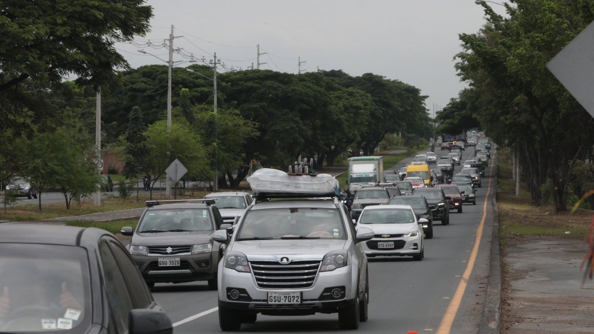 Más de 100 mil matriculas fueron entregadas de forma irregular en 147 municipios del país.