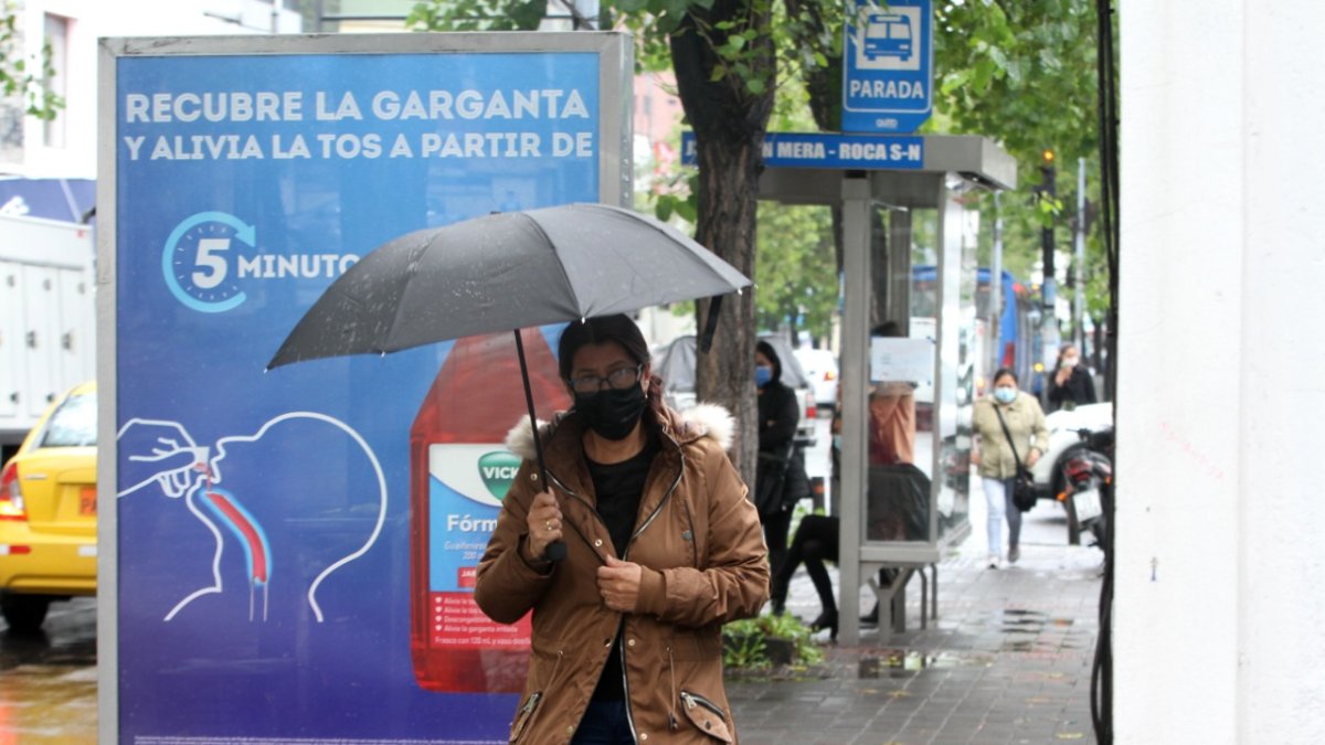 La empresa remodeló las paradas de buses en la ciudad y explota la venta de publicidad en ellas.