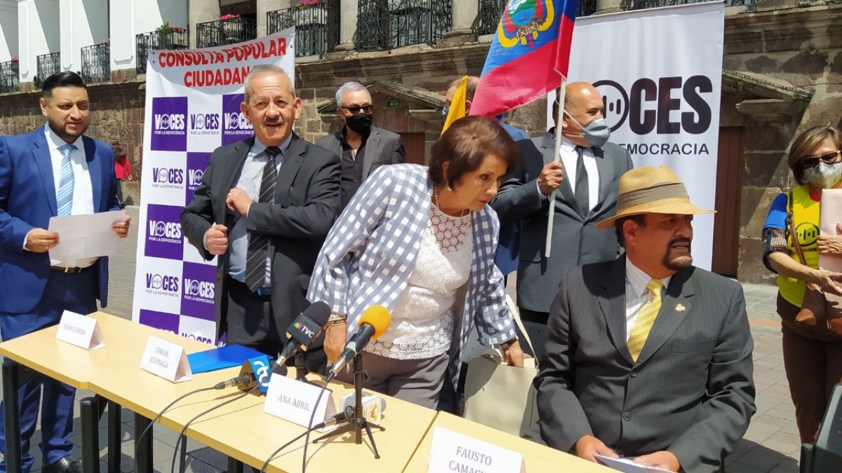 El pasado 7 de abril Voces por la Democracia presentó una propuesta de consulta popular ciudadana.