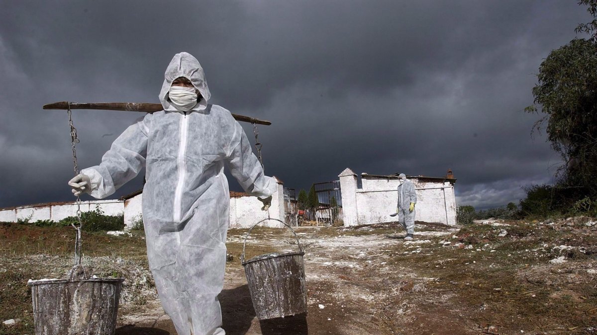 Referencia. Trabajadores de cuarentena en un lugar tras un brote de la gripe aviar.