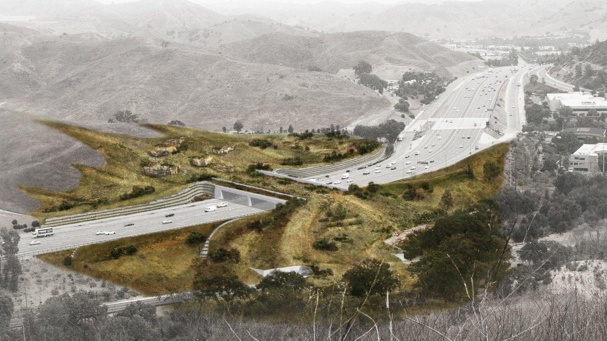 Fotografía cedida por Living Habitats y National Wildlife Federation (NWF) de un diseño conceptual de como será el Puente Para la Vida Silvestre Wallis Annenberg