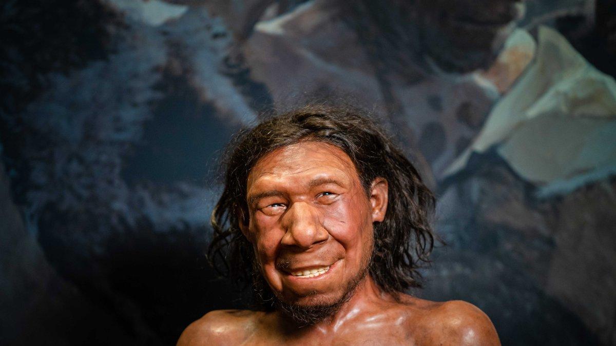 Imagen de archivo de la reconstrucción de un neandertal.