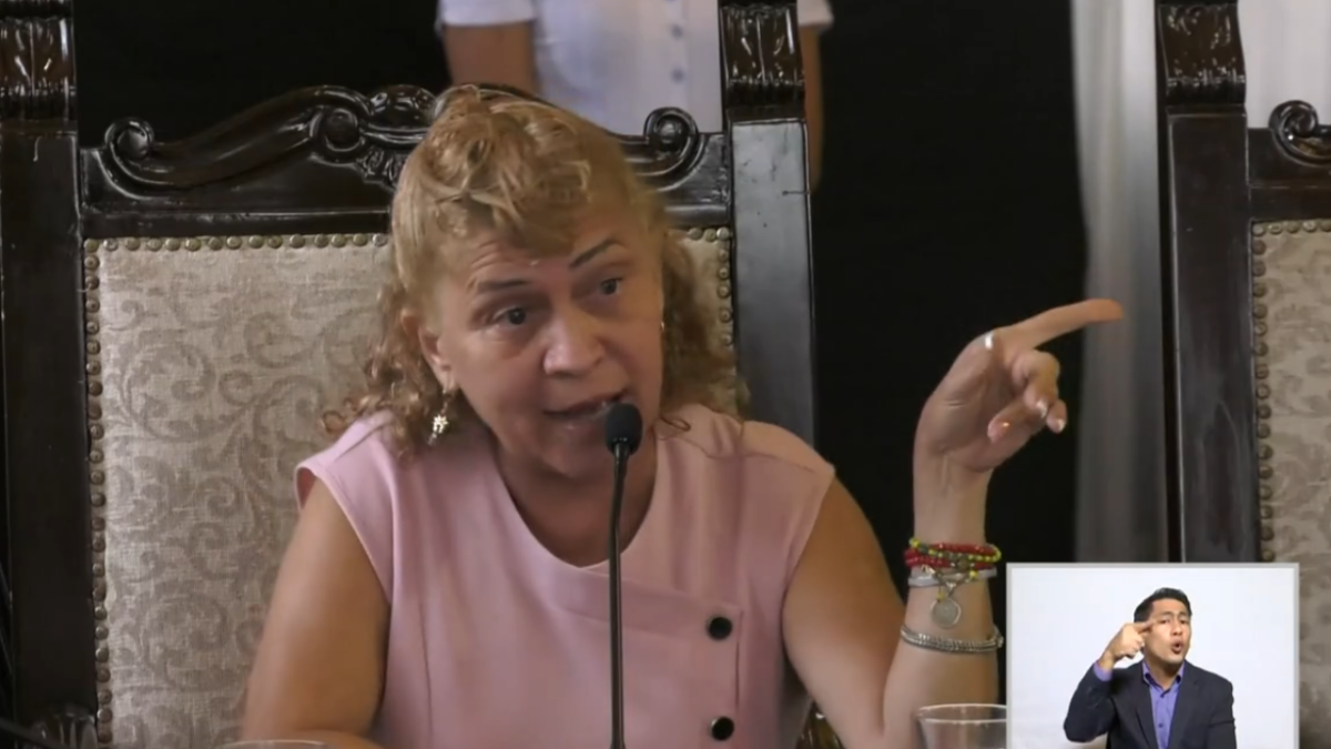 Anuncio. La concejala durante su intervención.