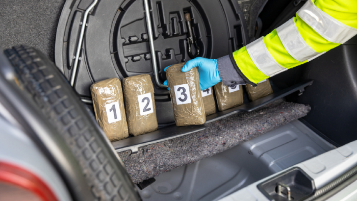 Reverencial de requisa de droga.