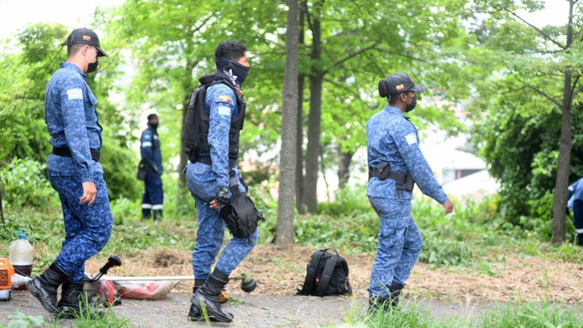 Hecho. Los operativos se ejecutaron en todos los bosques protectores.
