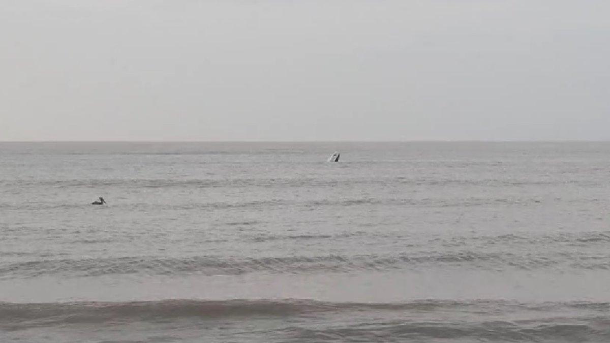 Una avioneta de la Policía Nacional que transportaba el General Edwin Francisco Noguera y a 6 elementos policiales más sufrió accidente aéreo.