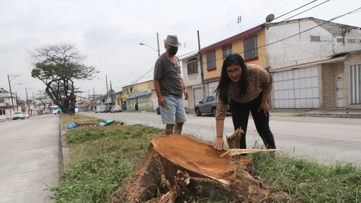 Suceso. En los últimos días se registró la poda.