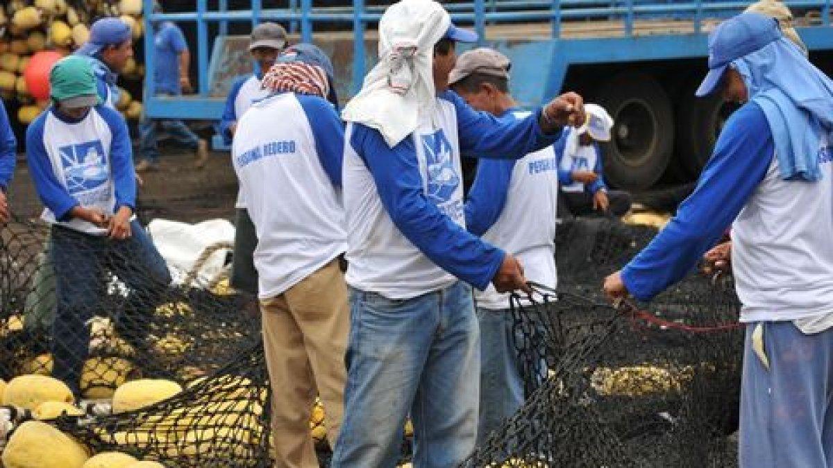 Problema. 18.000 millones de libras de plásticos van al mar, cada año.