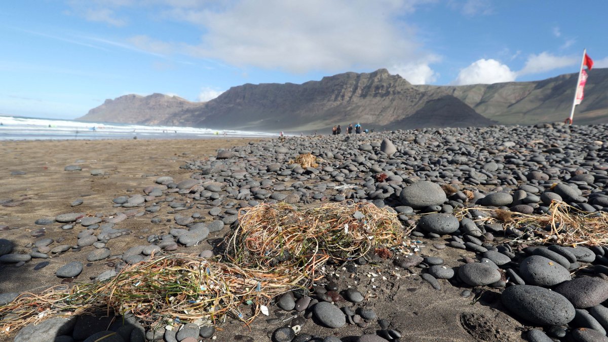 Imagen de archivo de microplásticos en una playa de (Lanzarote).