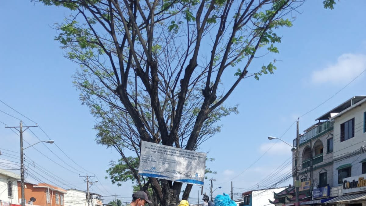 Trabajos. Autoridades participaron en la plantación de árboles.