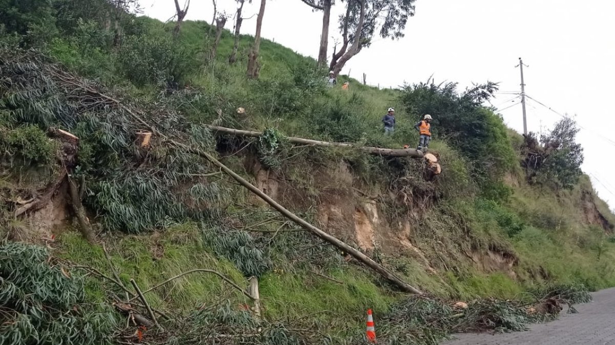 En el barrio 18 de Septiembre, por el Comité del Pueblo, al norte, se cortaron los árboles que estaban por caer sobre las casas. Tardaron dos días.