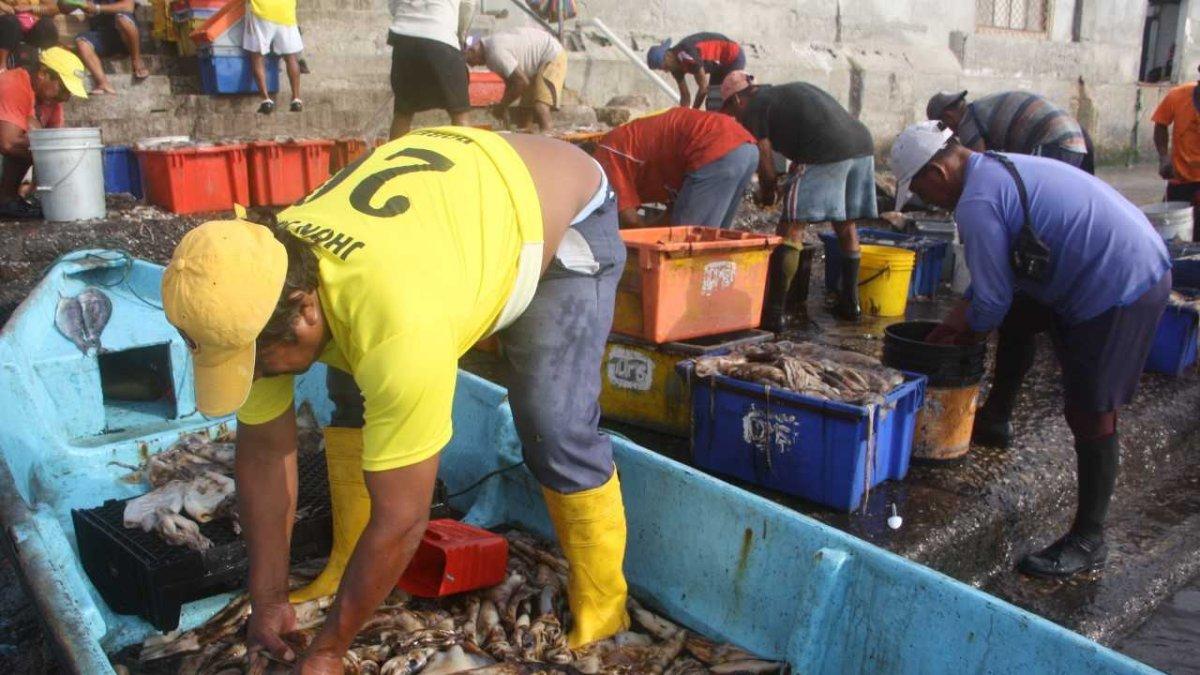 Aplicación. La UE busca que Ecuador mejore sus controles y eleve sus estándares con la pesca ilegal.