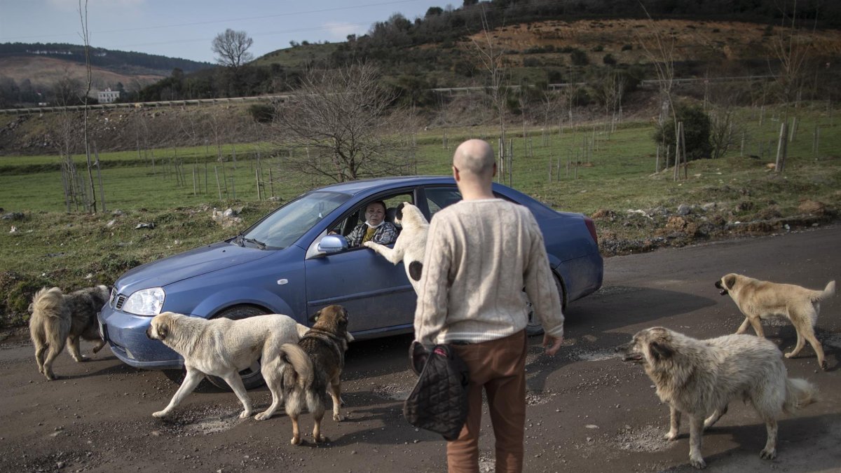 Empresario turco crea en su jardín un 