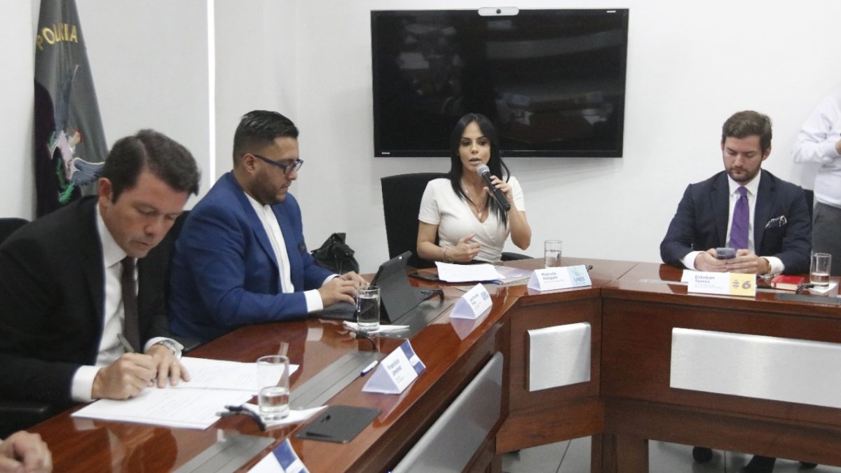 El 21 de abril, cuatro de los cinco jefes de los bloques legislativos llegaron al Ministerio de Gobierno para entablar un diálogo.