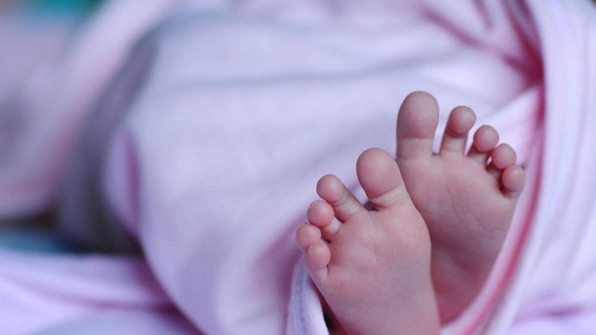  El cuerpo del niño fue llevado al Laboratorio de Criminalística y Ciencias Forenses.