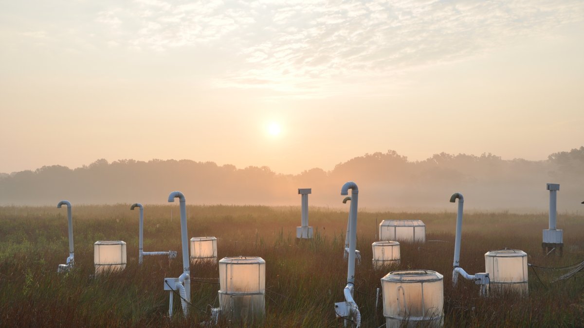 Amanecer en el humedal de investigación del Smithsonian Envioronmental Reseach Center (SERC) en Maryland, Estados Unidos. En estas cámaras se cultivan plantas con CO2 extra desde 1987.