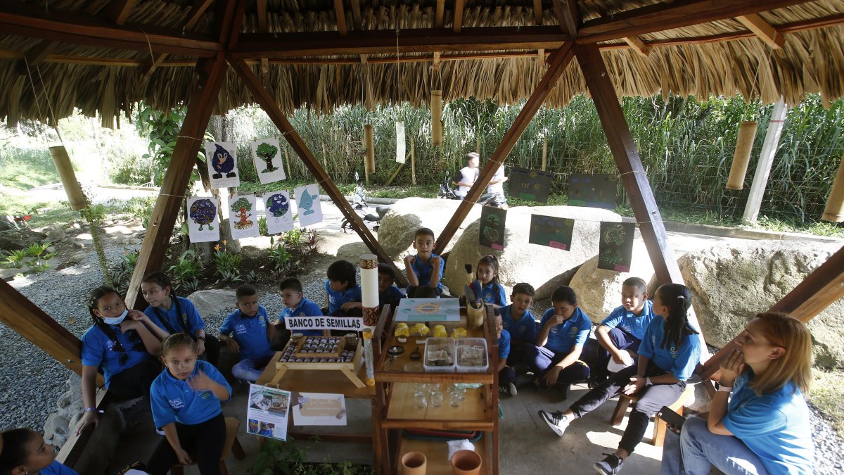  Un grupo de niños asiste a la primera escuela pública sustentable de Colombia, el 3 de mayo de 2022, en el municipio de San Jerónimo (Colombia).  EFE/.