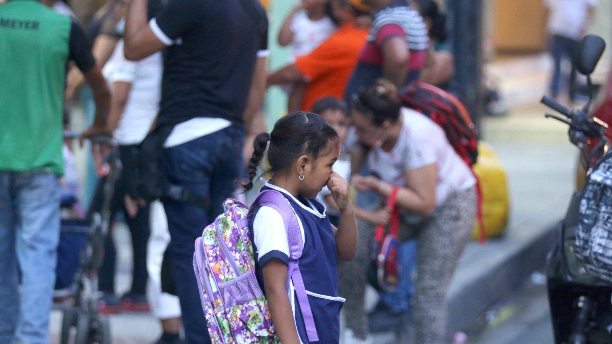 Acción. La alerta prevé monitorear la enfermedad y definir un protocolo.