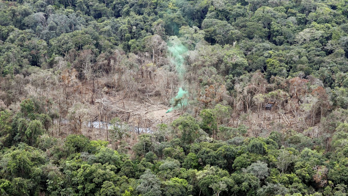 Fotografía de archivo aérea que muestra un campamento de las disidencias de las Fuerzas Armadas Revolucionarias de Colombia