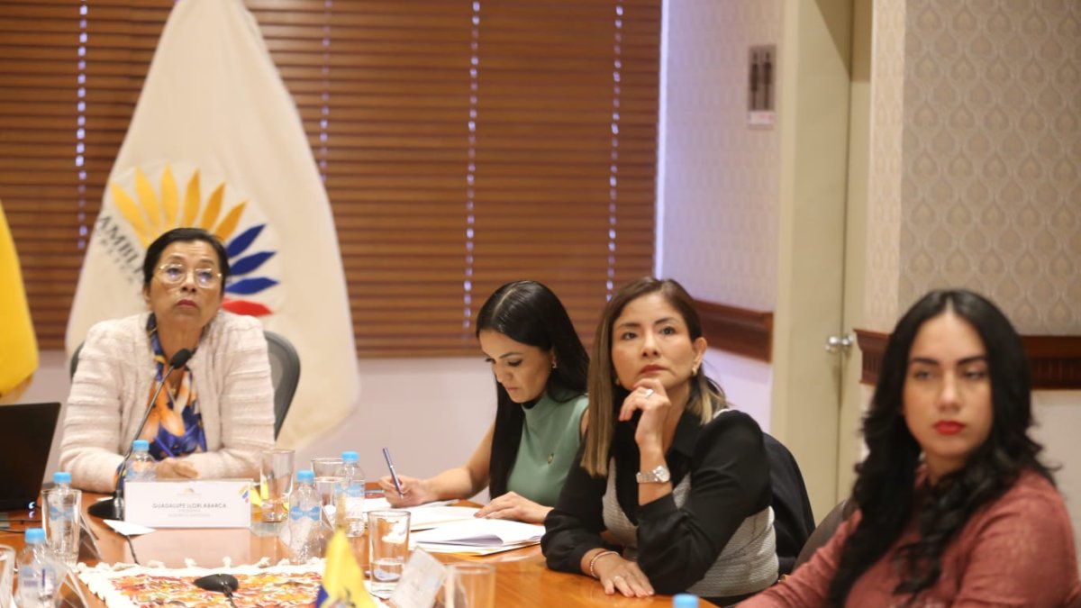 El CAL logró reunirse este 26 de mayo de 2022, luego de varios intentos fallidos a causa de la crisis interna de la Asamblea.