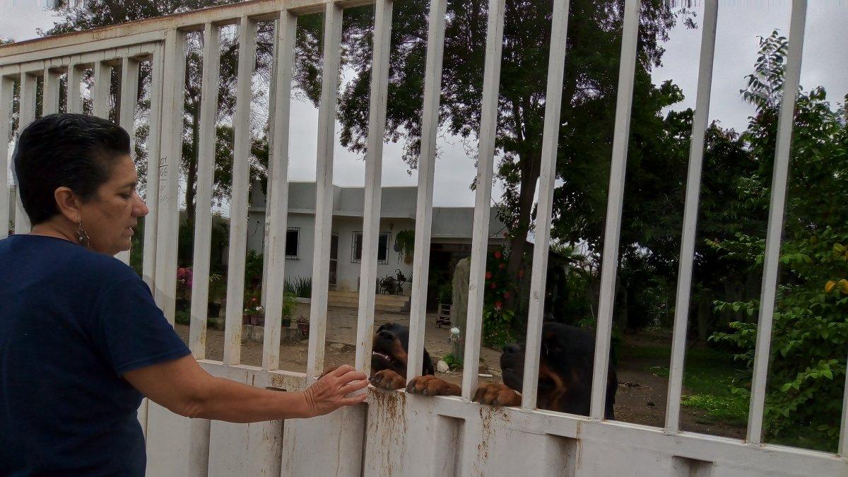 Seguridad. Andrea Vinueza, habitante de La Victoria, confía en la protección de sus animales de compañía. Los canes, reconoce, sumado a las rejas, son su única protección. Del lado de las autoridades no ve nada.