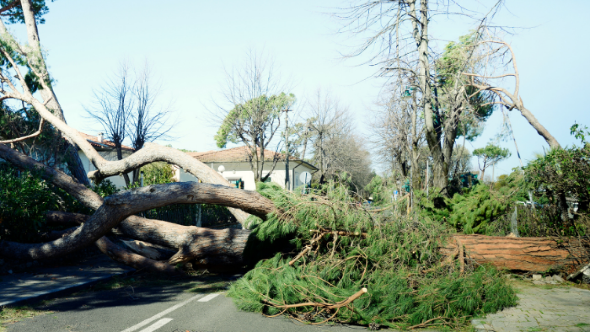 Referencial de huracanes.
