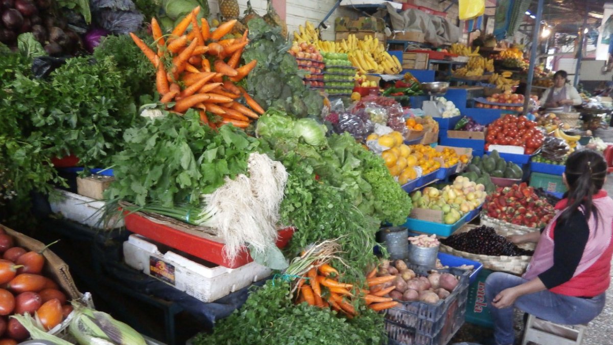 Precios.- En el pasado mayo subió de precio hasta el culantro.