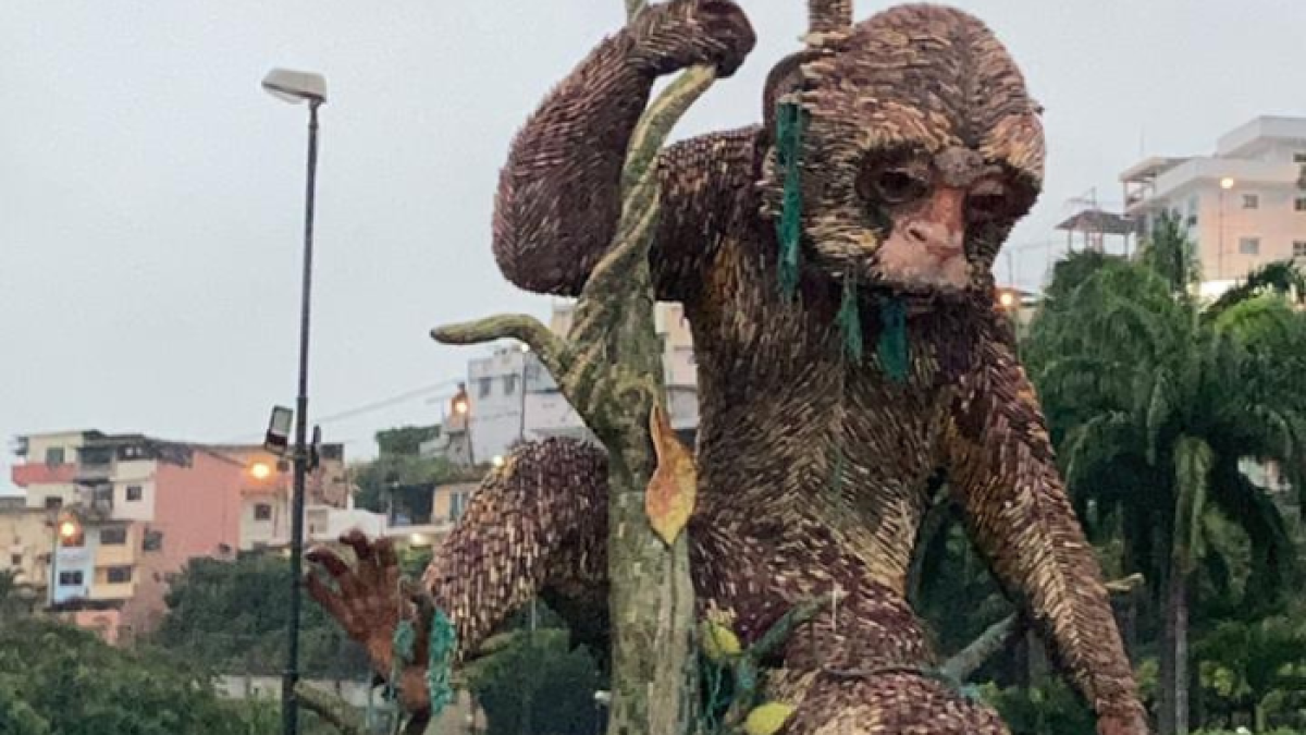 El mono capuchino amaneció este 8 de junio enredado con cabos y redes de pesca