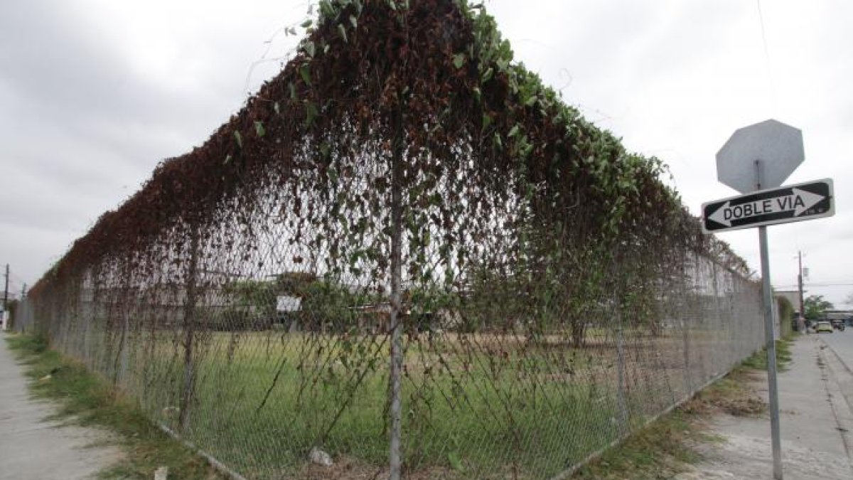 El terreno llevaba varios años en abandono