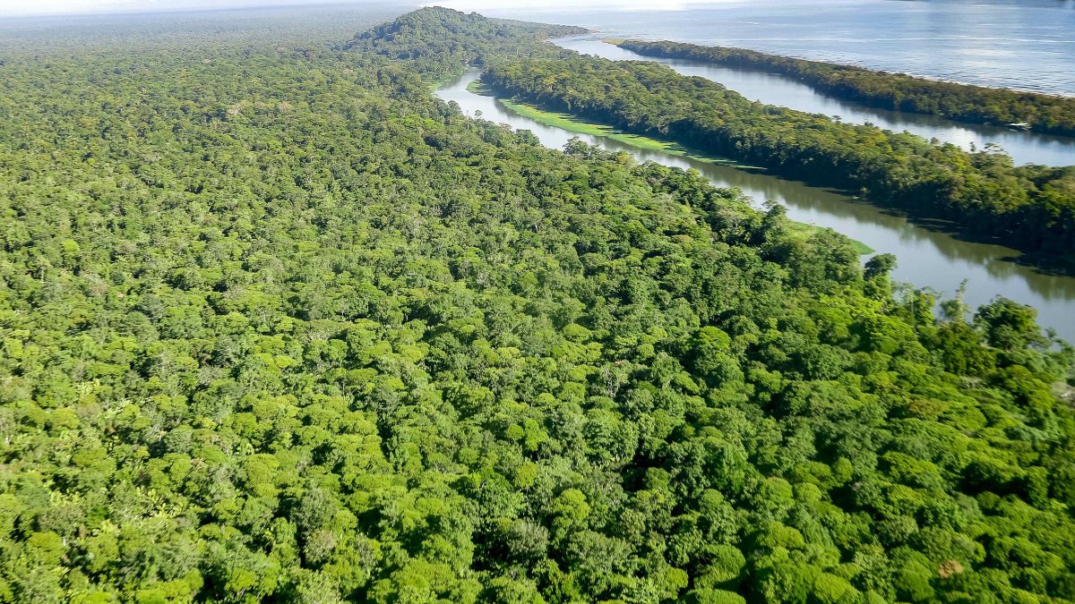 Fotografía aérea del Parque Nacional Tortuguero, en Costa Rica, en una fotografía de archivo.
