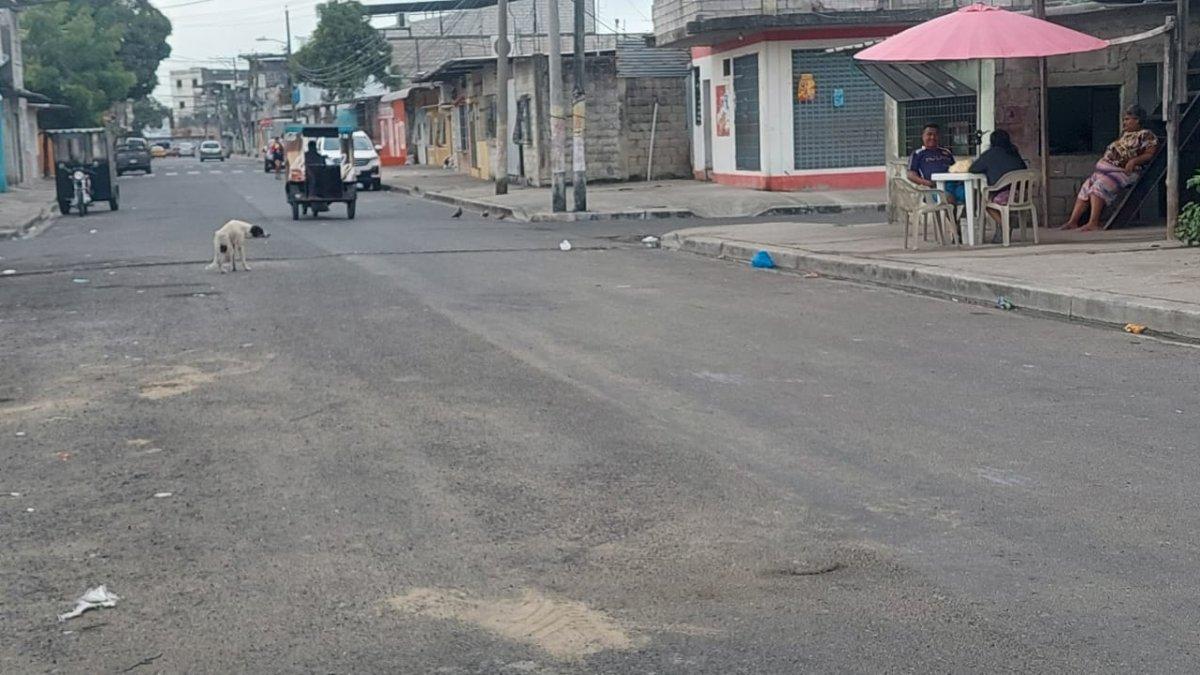 Arrojan artefacto explosivo en la Coop. Miami Beach, en el Guasmo Sur