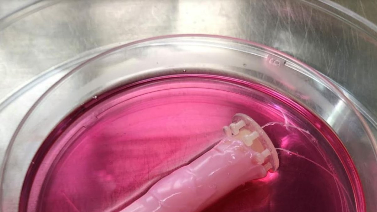 Investigadores de la Universidad de Tokio desarrollan un método para cubrir a los robots con células humanas vivas