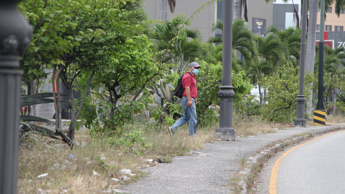Situación. A lo largo de la avenida Orellana, el jardín del parterre central luce con mucha maleza y basura.