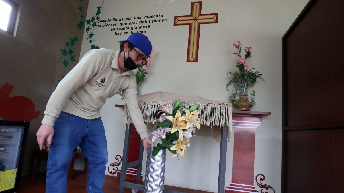 Las personas tienen la oportunidad de despedirse de sus compañeros de cuatro patas en las salas de velaciones.