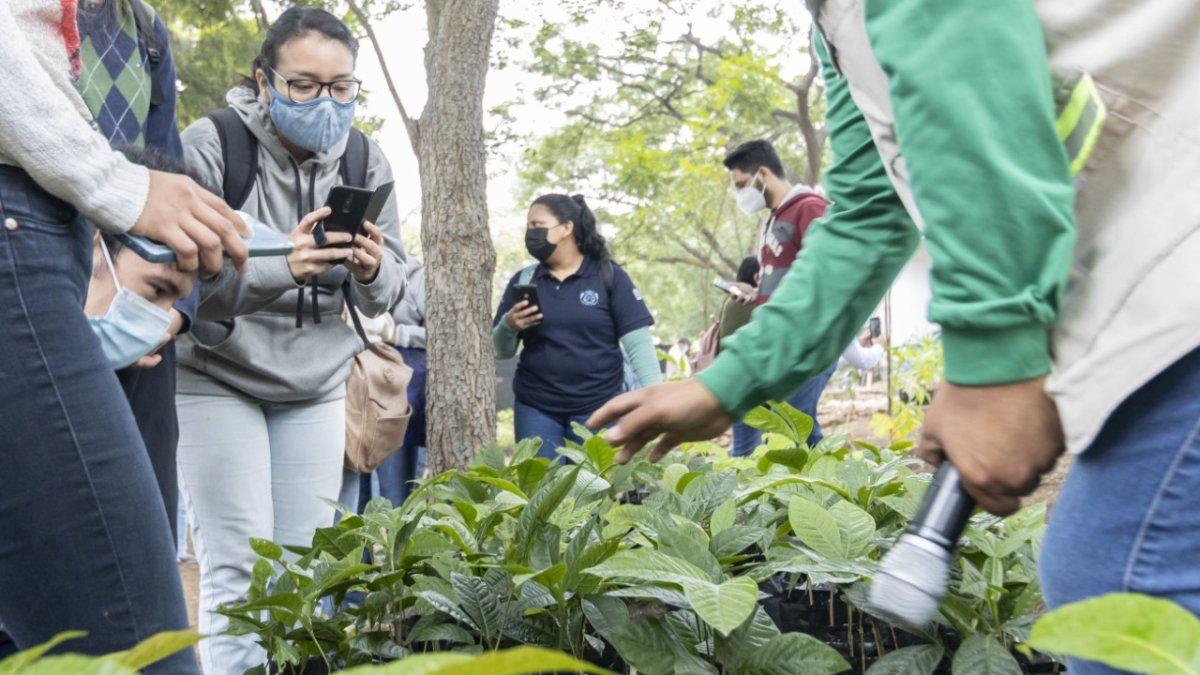El vivero 'Nativo' fue inaugurado oficialmente por la Espol.