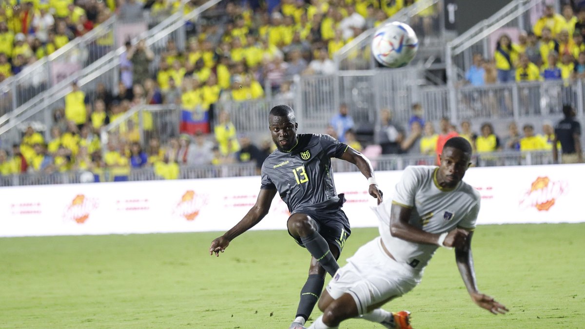 Gustavo Alfaro armó una base de 50 jugadores para las eliminatorias y Copa América. De ellos, 20 ya tienen un lugar en el Mundial de Qatar. Los seis restantes se definirán en las próximas semanas.