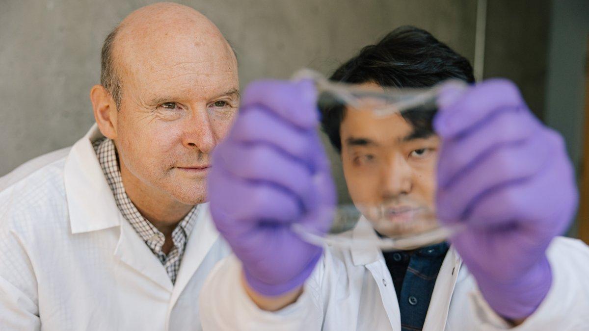 Perspectivas. John Madden (izq.) y Yuta Dobashi observan el hidrogel durante una etapa de su investigación.