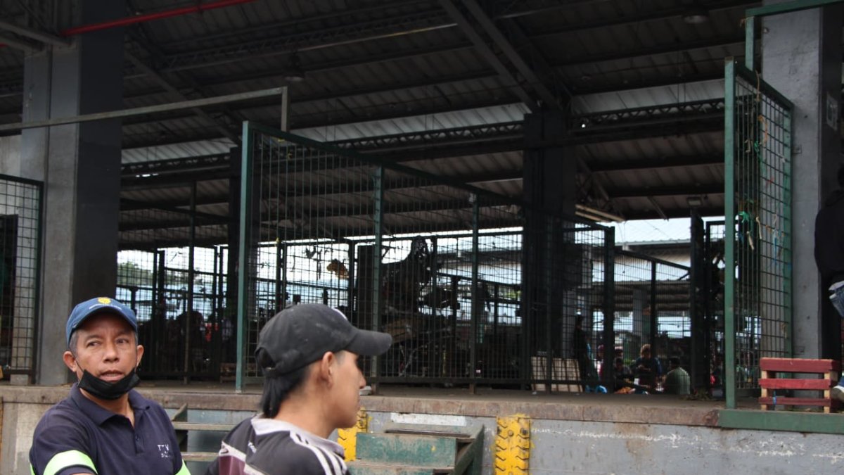 Desabasto y especulación de precios en el mercado de transferencia de víveres de Montebello