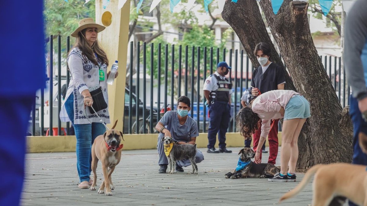 Evento. La jornada se ejecutó en el parque lineal de la Kennedy.