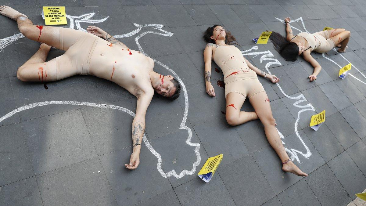 Activistas de PETA Latino y Animal Heroes, participaron hoy, en un performance en la Ciudad de México (México)