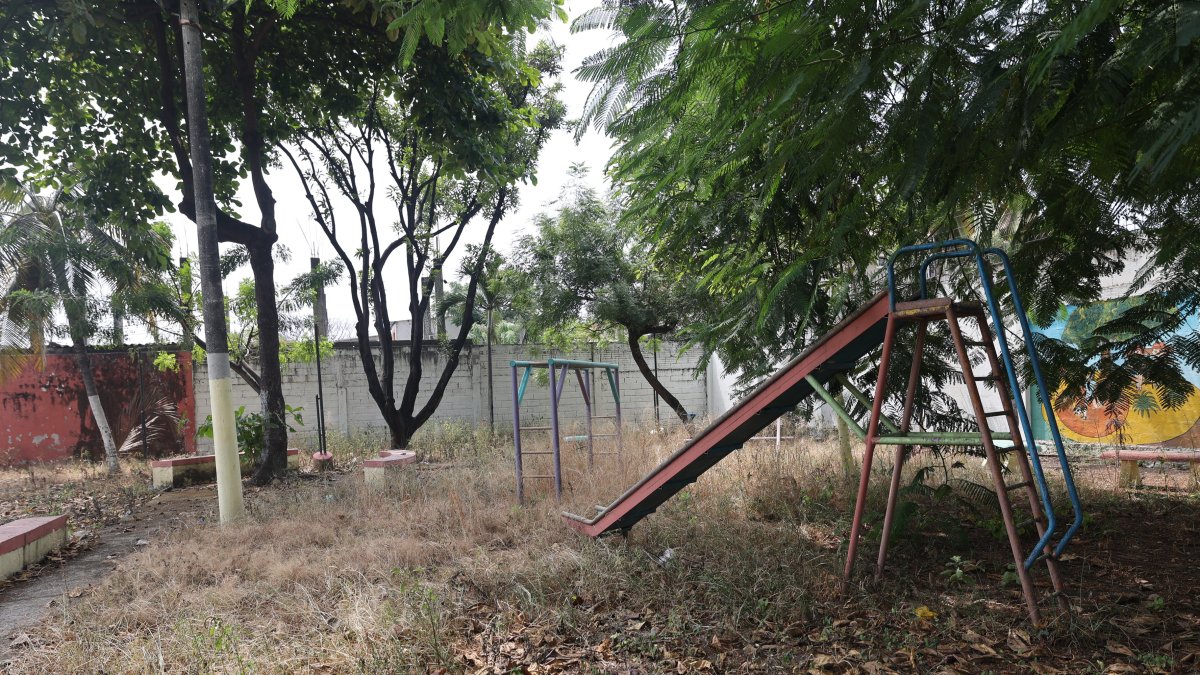 Escenario. Los juegos infantiles se borran del mapa debido a la maleza.