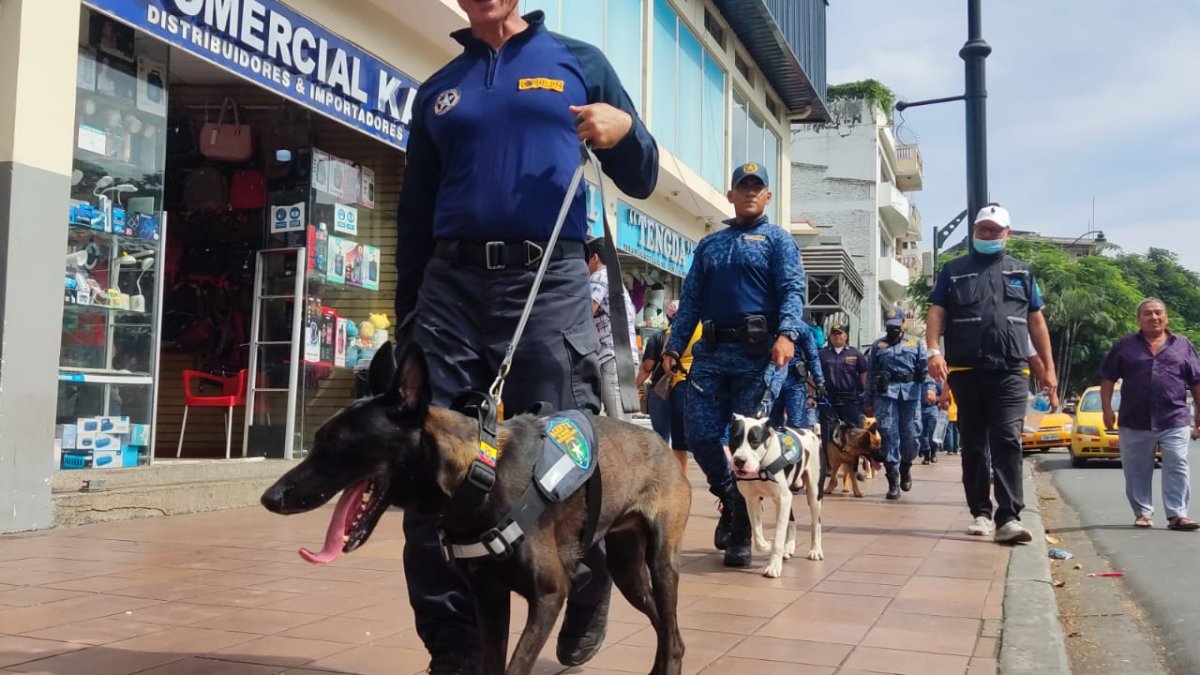 Acción. Uno de los canes circula por el casco comercial.