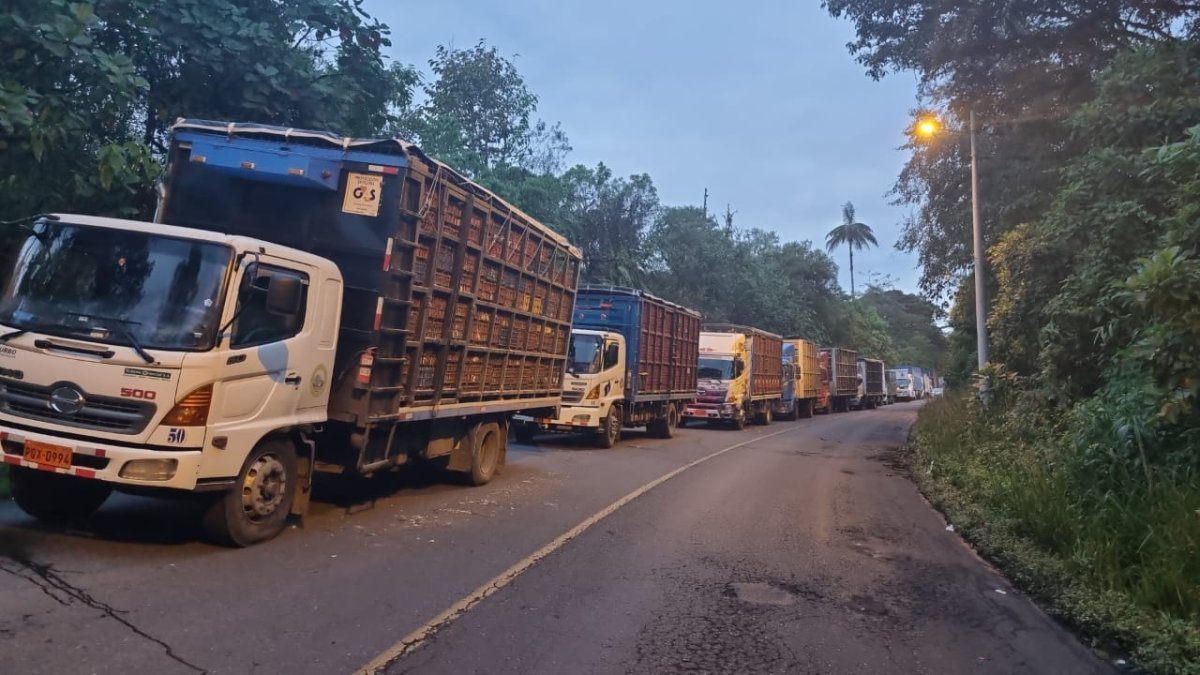 Una fila de camiones que transportaba pollos tuvo ayer trabas para circular, como efecto del paro.