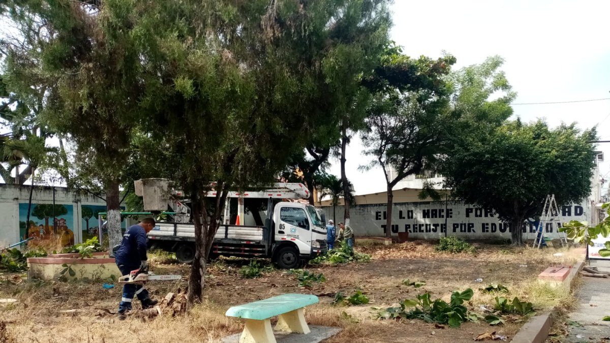 Efecto. El área era comparada como una selva en medio de la ciudad.