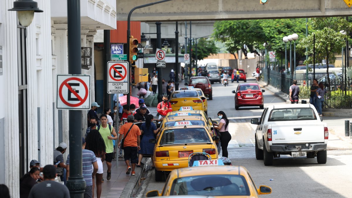 Sectores. La mayoría de grupos que se ubican en el centro de la ciudad desde hace años.