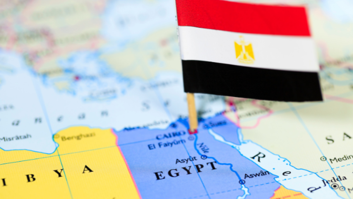 Imagen de referencia